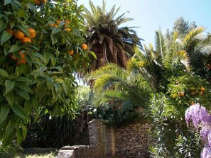 Imagen sin descripción, 4 de 78, botón