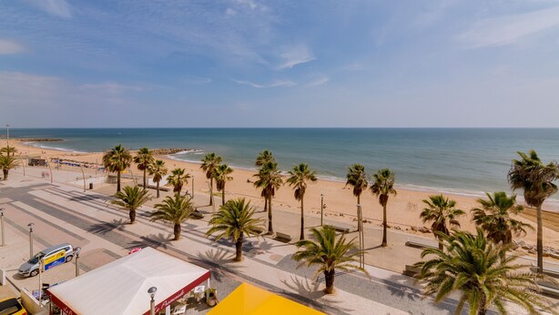 Un paseo marítimo con palmeras, una playa arenosa y el mar.