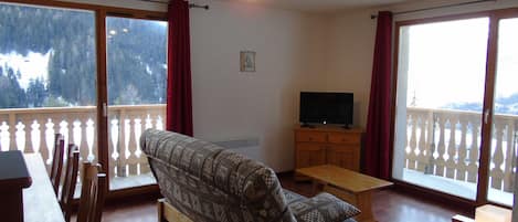 Fernseher
