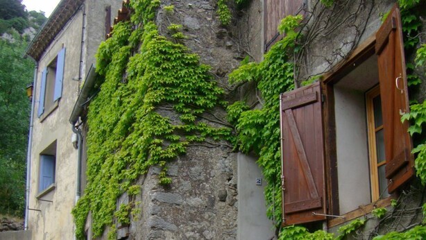 A stone building with ivy-covered walls, wooden shutters, and a stone staircase leading to the entrance. - La Petite Bergerie - pure nature! Vacation home in unspoiled nature. (Termes)
