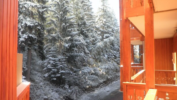 Une cabane en bois offrant une vue sur des arbres couverts de neige.