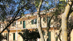 Une cour avec des arbres, une clôture et un bâtiment doté de balcons et de fenêtres.