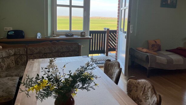 Un comedor con una mesa, sillas, un florero con flores, una ventana con vista a un campo verde y un balcón con baranda.
