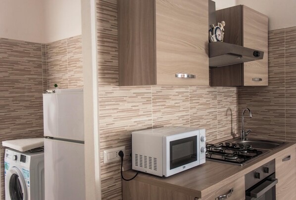 Frigorífic, microones, forn i placa de cuina