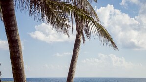 A beach scene with palm trees and the ocean. - Private Tropical Home  with Pool (Akumal)