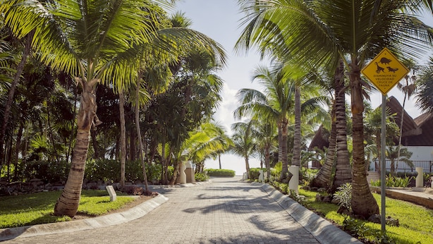 A paved pathway lined with palm trees and a sign indicating a speed limit of 30 km/h. - Private Tropical Home  with Pool (Akumal)