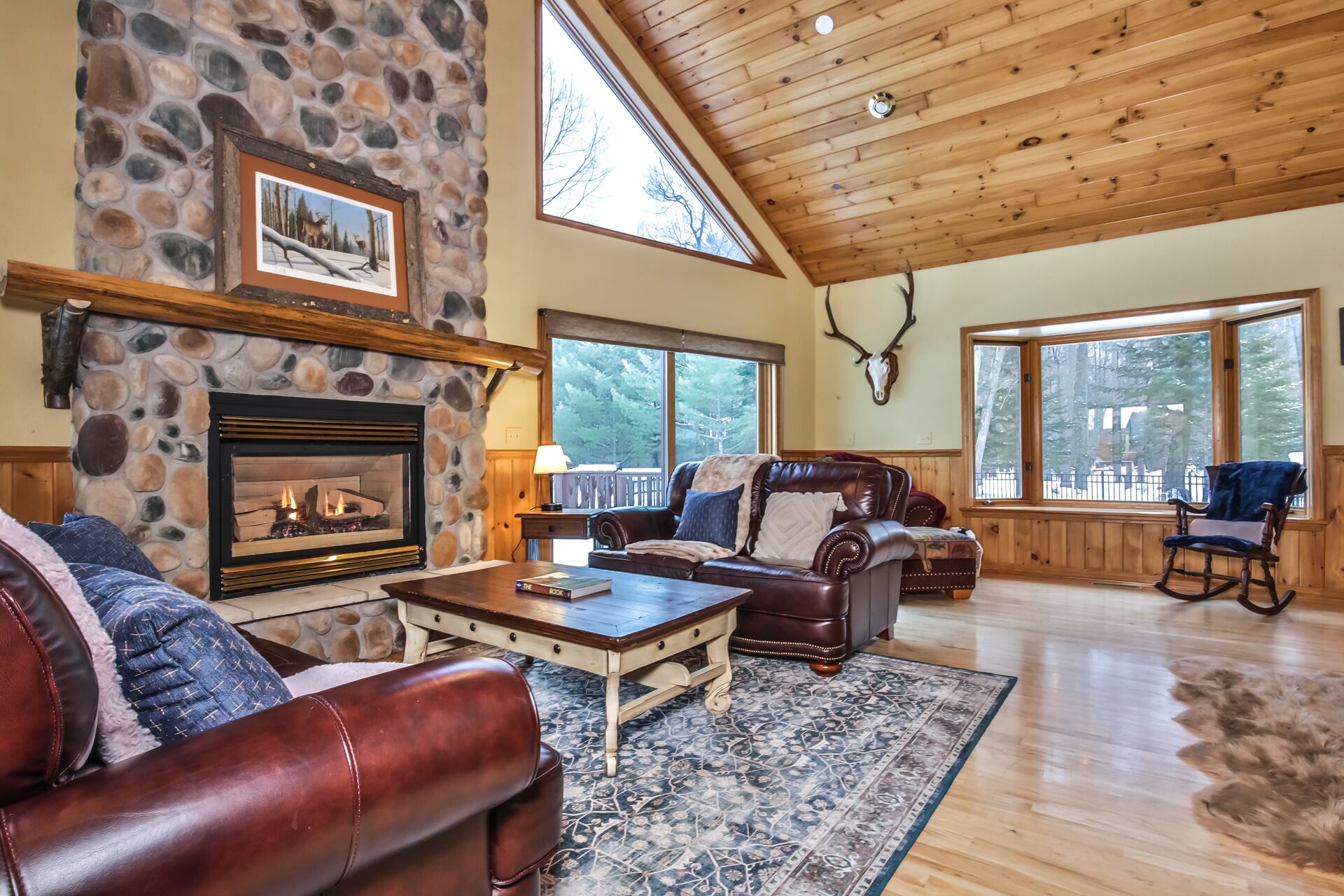 Smart TV, fireplace, video games, DVD player