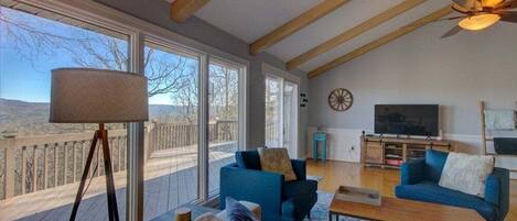 Smart TV, fireplace, video games, books