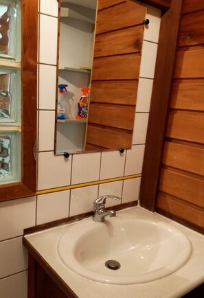 Shower, hair dryer