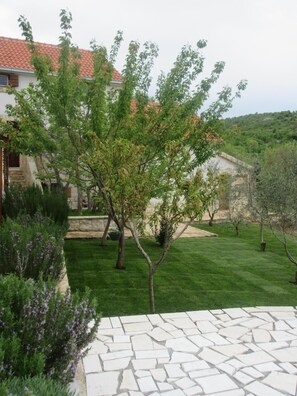 Área da propriedade