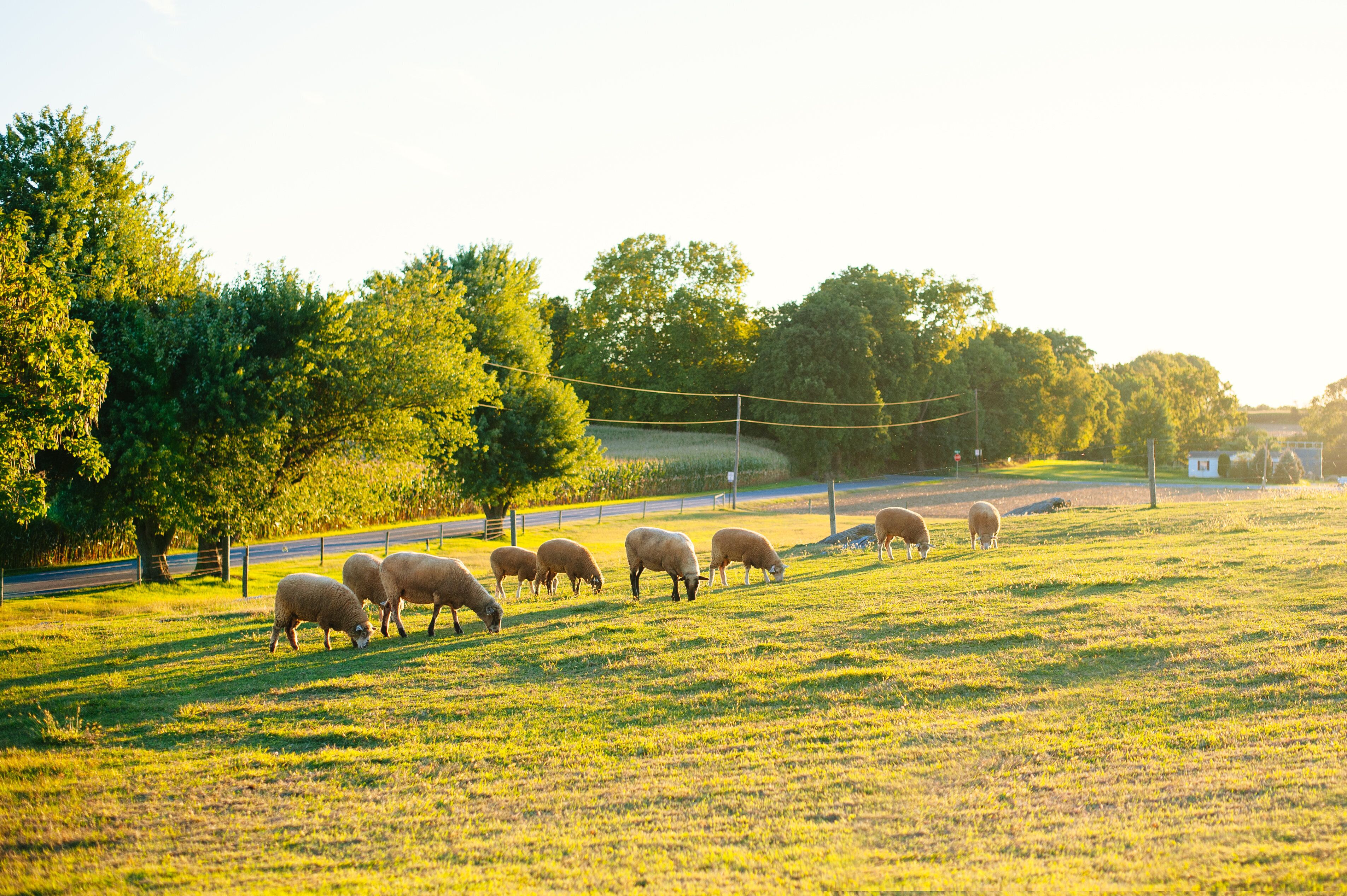 Top 10 Ranches To Stay In Pennsylvania, USA Updated 2024 Trip101