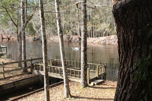 Property grounds - Edisto River Cottage (Round O)