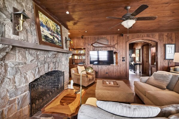 Télévision, cheminée, livres