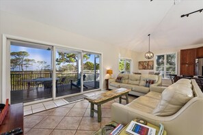 薄型テレビ、書庫、ステレオ