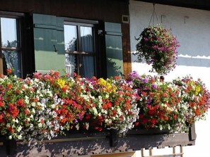 Flowers bloom in a charming window box, adding a touch of vibrancy to the exterior.