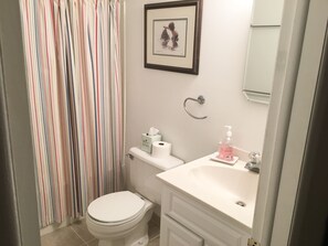Combined shower/bathtub, hair dryer, toilet paper