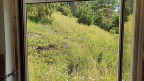 A window with a view of a grassy hillside with trees.