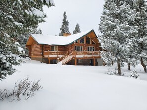 Exterior - Luxury upscale cabin, quiet cul-de-sac, free Wi-Fi (Duck Creek Village)