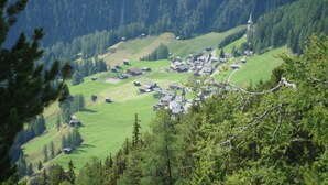 A small village with houses on a hillside, surrounded by dense forest.