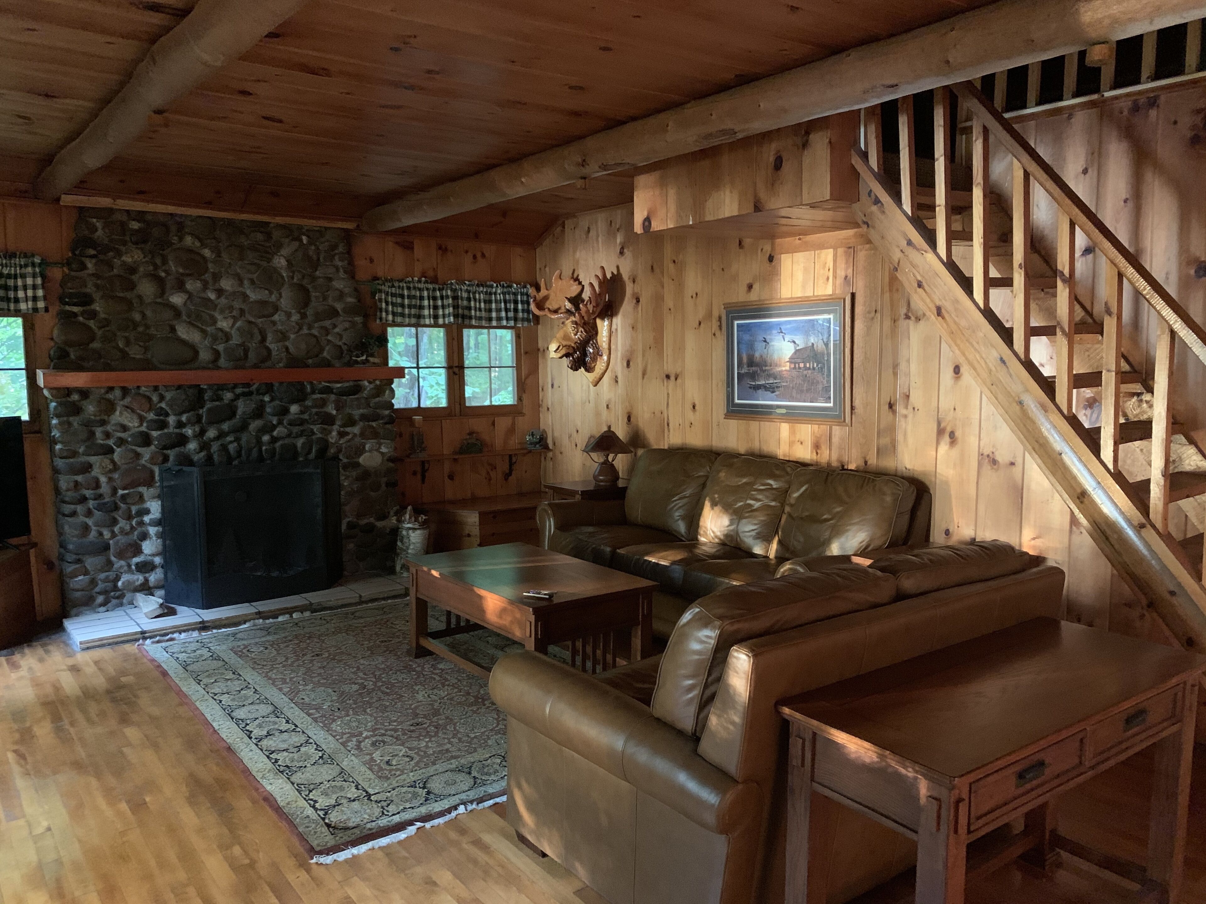 Smart-TV, peis, DVD-spiller og filmbibliotek