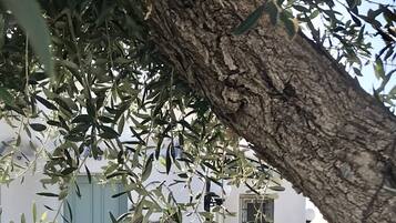 DĂ©tail de lâextĂ©rieur