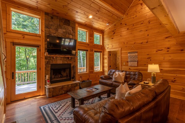 TV, fireplace, DVD player