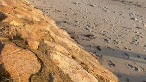 بالقرب من الشاطئ، كراسي للتشمس، مناشف للشاطئ