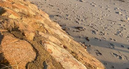 Cape Cod Beach Cottage-2 bdrm, 1 bath, full kitchen and two minute walk to beach