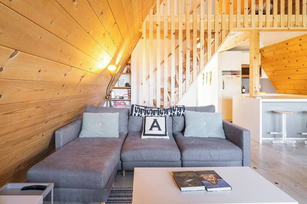 TV, fireplace, books