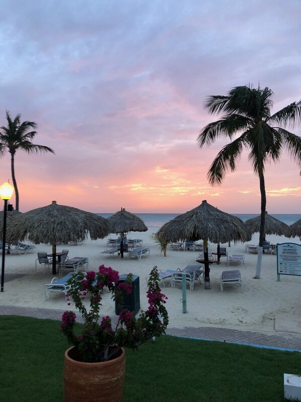 A beachside resort with thatched umbrellas, lounge chairs, and a sign indicating beach rules.