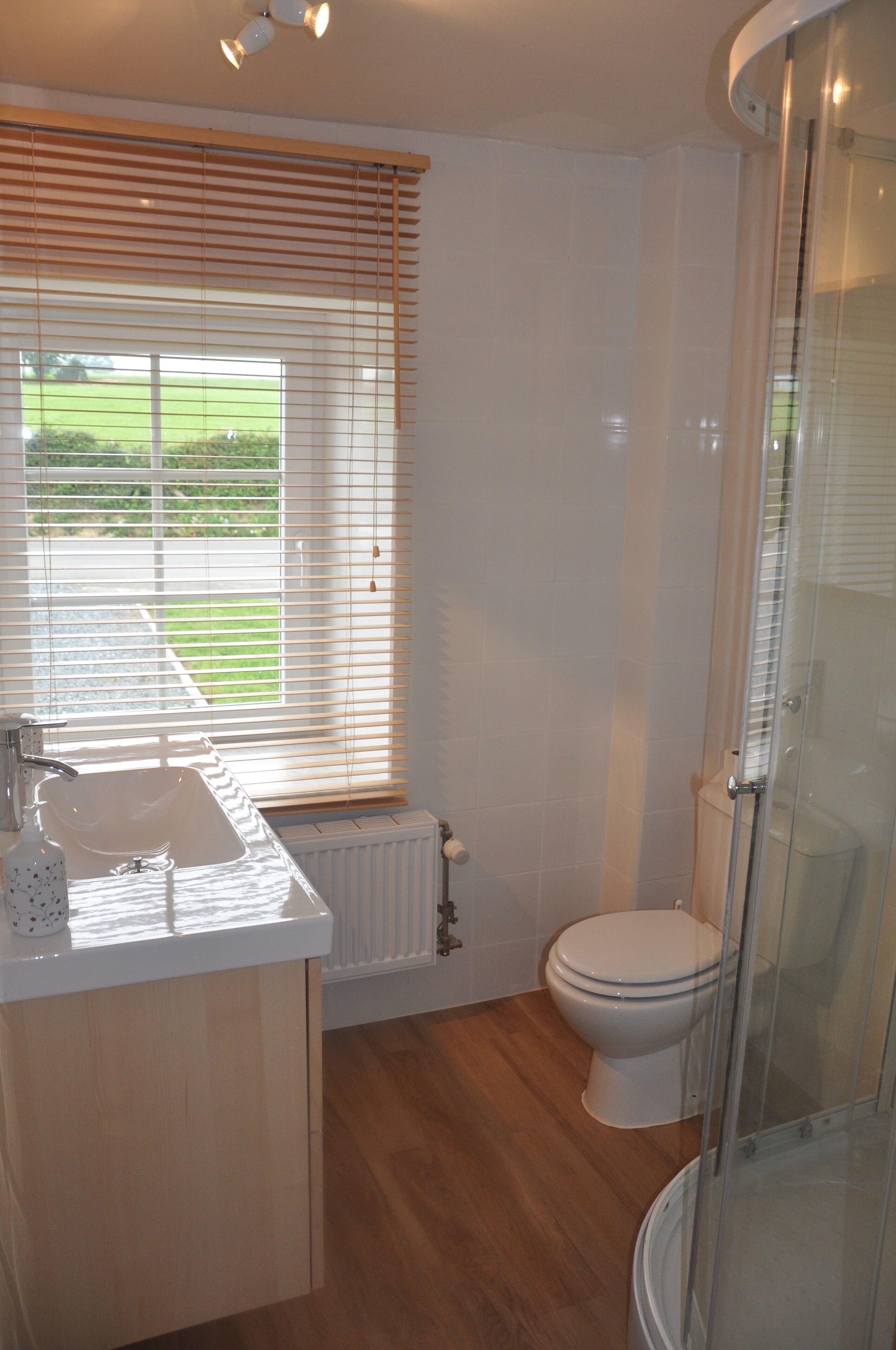 Shower, hair dryer, toilet paper