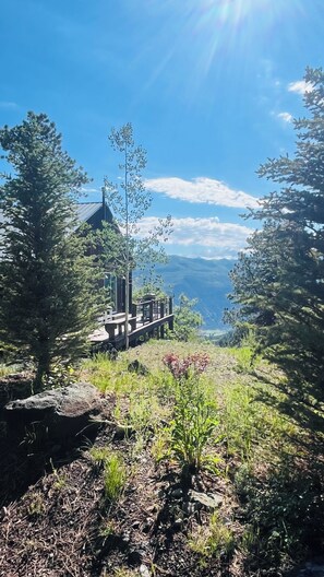 Property grounds - Cannon Creek Cabin - private, amazing views, with a Hot Tub and Outdoor Sauna (Ridgway)