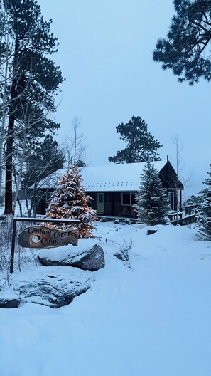 Exterior - Cannon Creek Cabin - private, amazing views, with a Hot Tub and Outdoor Sauna (Ridgway)