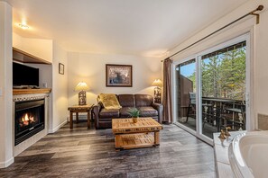 TV, fireplace, video library