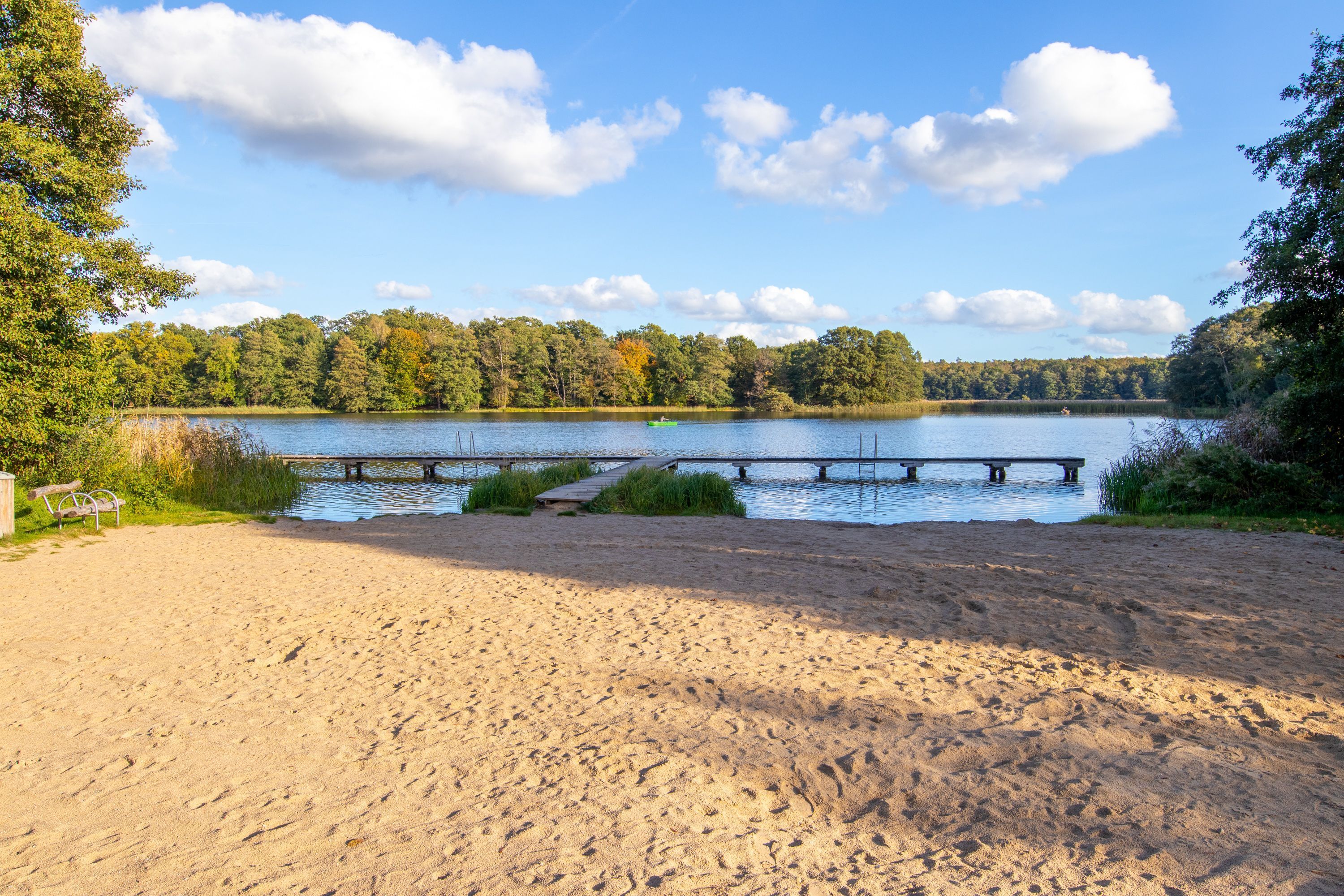 A sandy beach with a wooden dock extending into a lake, surrounded by trees.