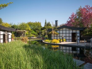 Immagine non classificata, 4 di 38, pulsante