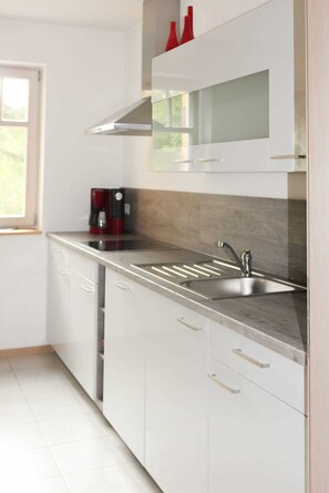 Fridge, microwave, oven, dishwasher - Vacation apartment Seeblick - Villa Liselotte (Fürstenberg/Havel)