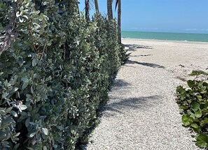 Plage à proximité, parasol