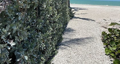 Breakers West B5 Beach side condo with pool