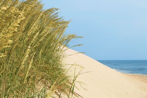 On the beach - Soundfront Dog Friendly Hatteras Home w/ Hot Tub, Fenced Yard, and Water Views (Hatteras)