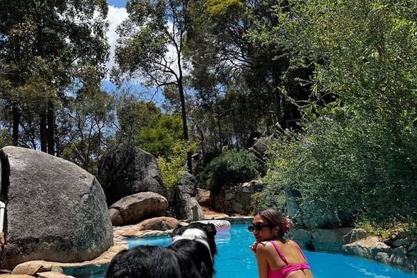 The bush swimming pool is located on top of a hill and overlooks the 20 acre bushland. Here, you will be able to have a unique swimming experience with your dogs, sunbathe by the pool or float blissfully on our pool toys.