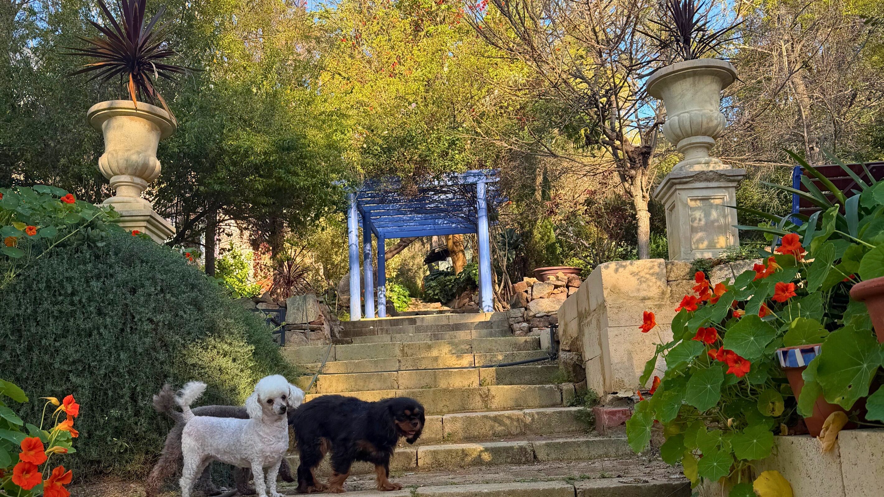 Overnattingsstedets uteområder