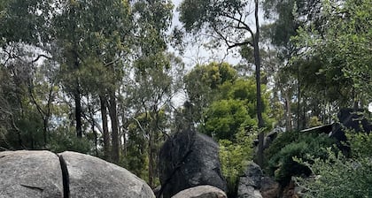 A Paradise for Dogs and a Magical Place for Humans