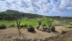 Een golfbaan met cactussen en een berg op de achtergrond.
