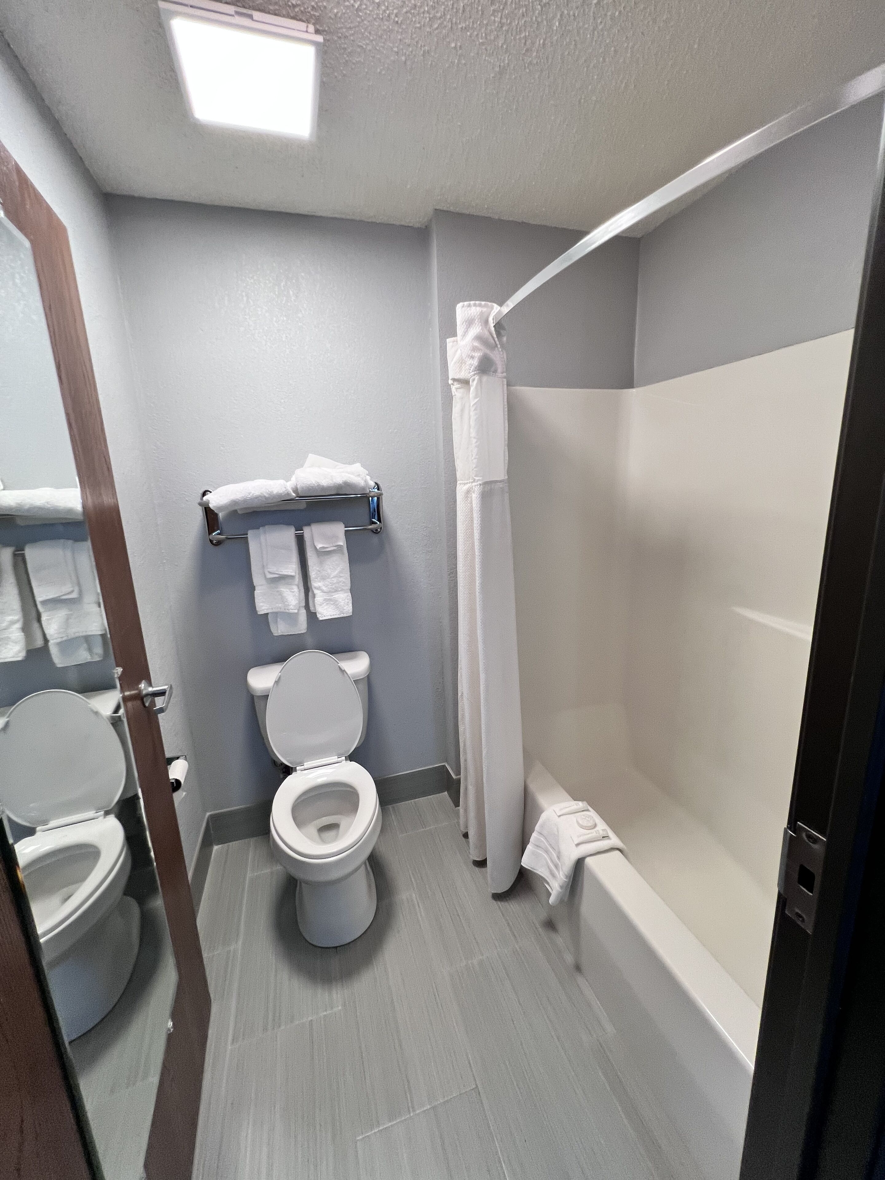 Ein Badezimmer mit Toilette, Dusche und Handtuchhalter.