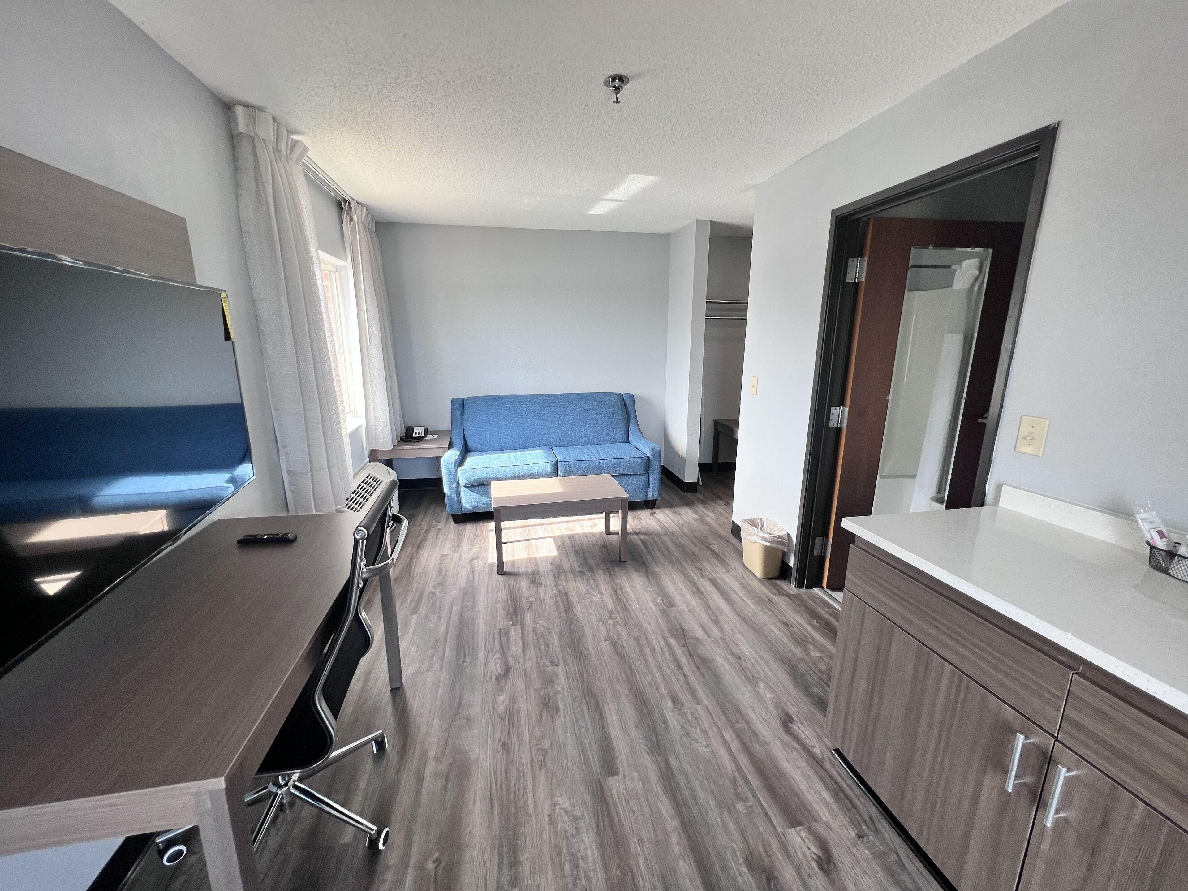 suite, 1 king bed with sofa bed, balcony, lake view (non smoking) | living area | 32-inch led tv with satellite channels, tv