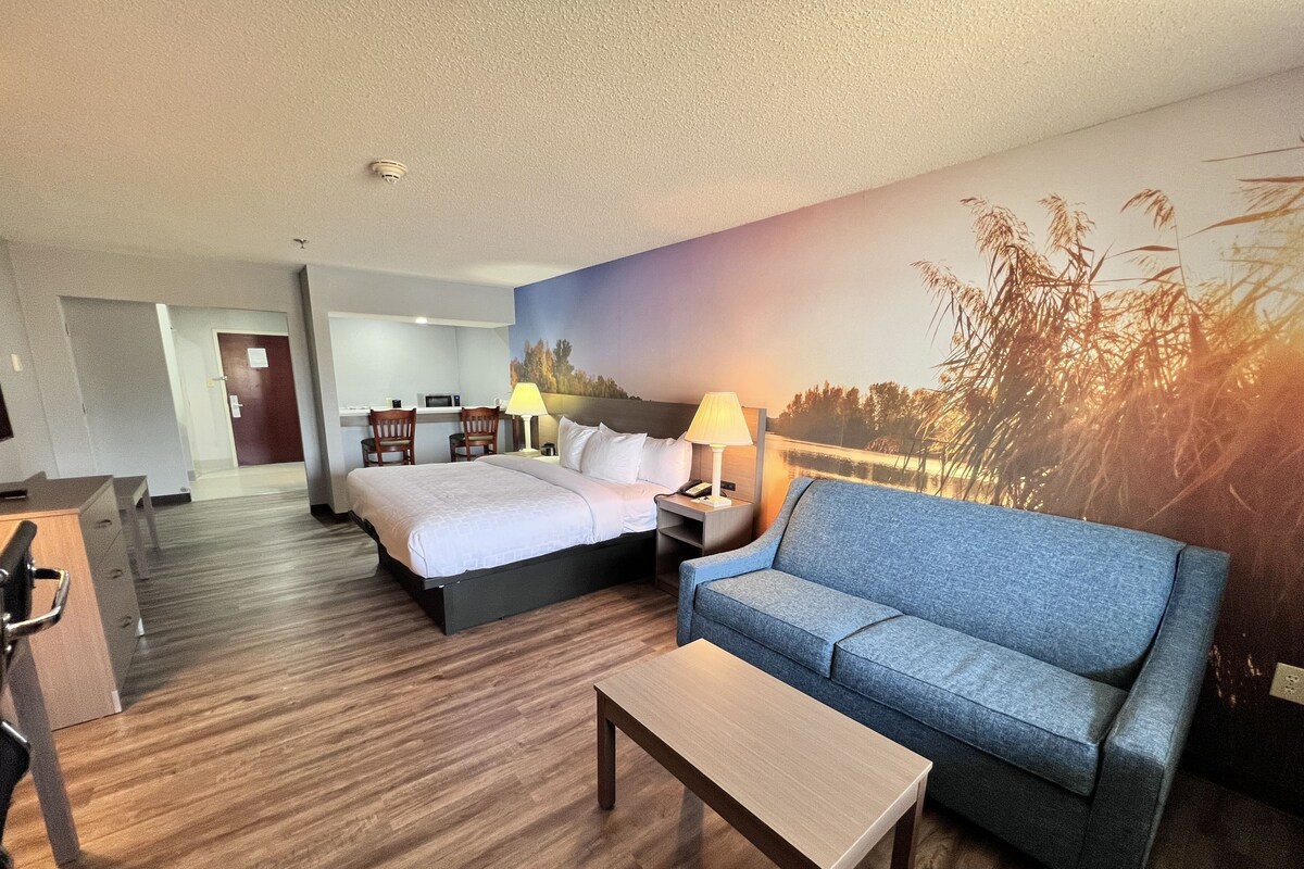 Quarto de hotel com uma cama, um sofá, uma escrivaninha e uma luminária.