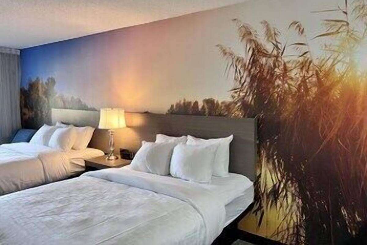 高档床上用品、羽绒被、办公桌、笔记本电脑工作区