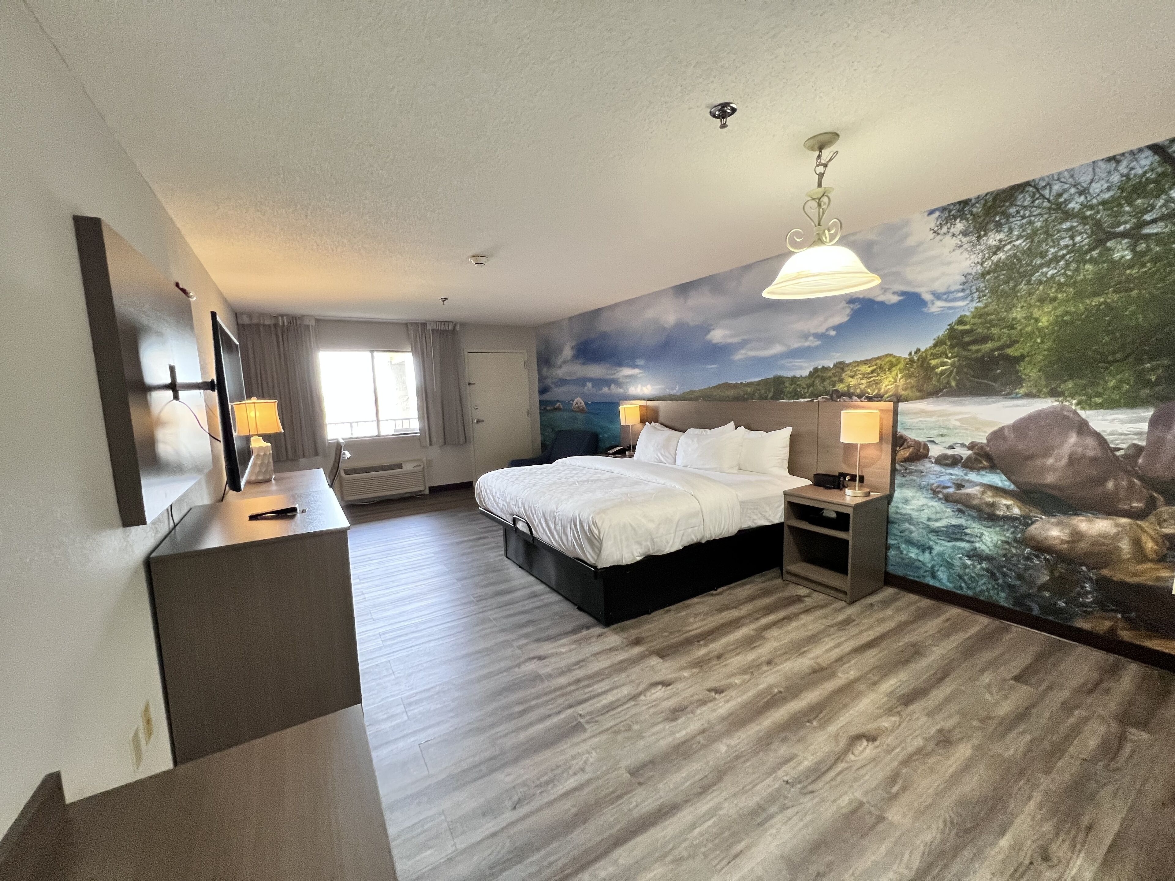 room, 1 king bed, accessible, non smoking (upgrade) | premium bedding, down duvets, desk, laptop workspace