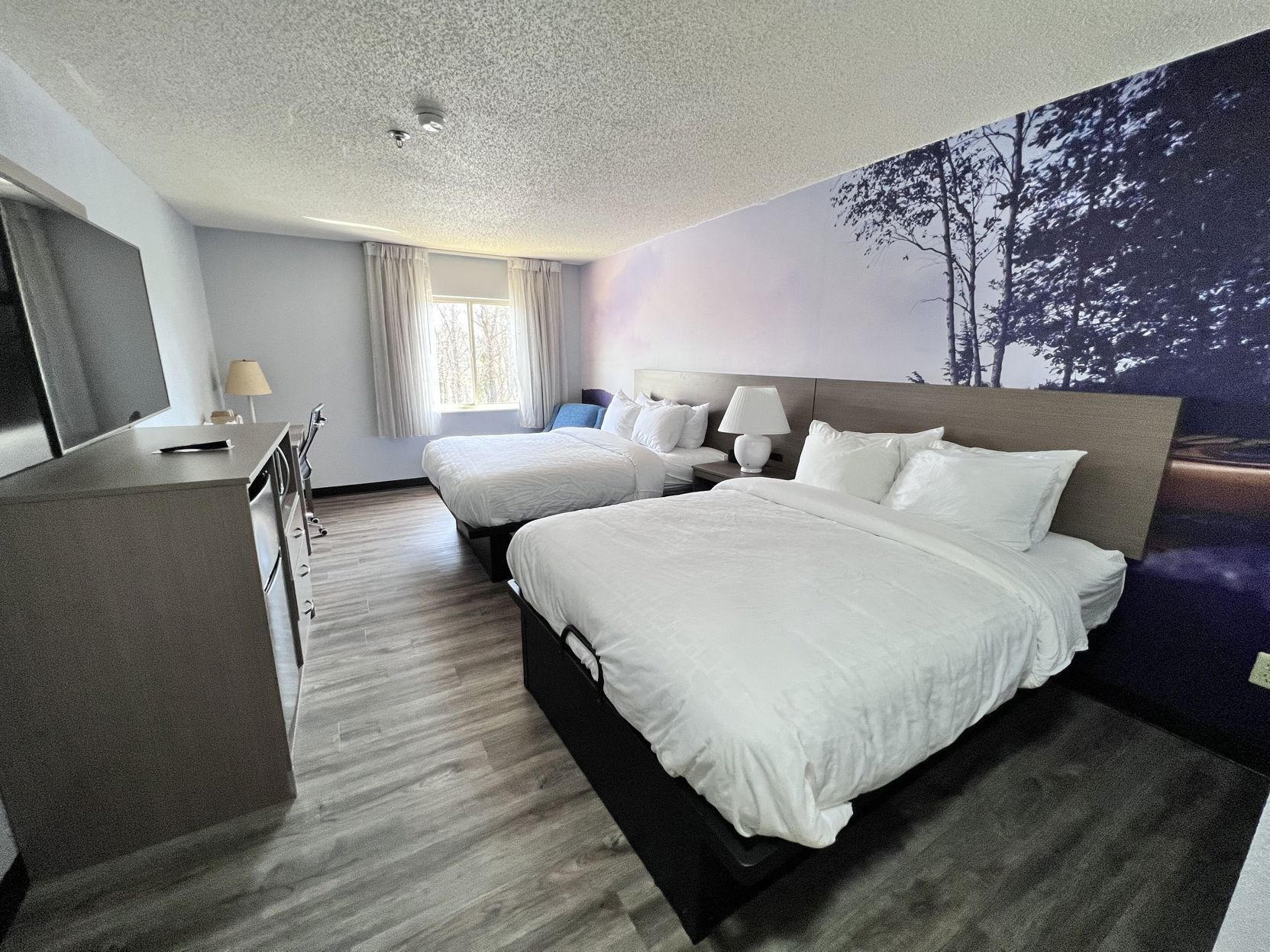 Literie de qualité supérieure, couette en duvet d'oie, bureau